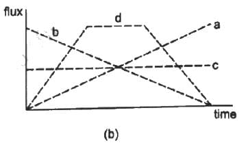 HC Verma Questions and Solutions: Chapter 30: Gauss’s Law- 1 | HC Verma Solutions - JEE