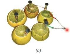 NCERT Based Activity: Electricity: Magnetic and Heating Effects | Science Class 8