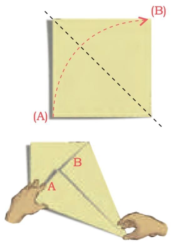 Shapes and Patterns Chapter Notes | Mathematics (Maths Mela) Class 5 - New NCERT