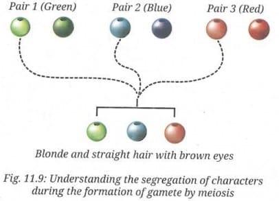 Activity 11.4 : Let us explore 