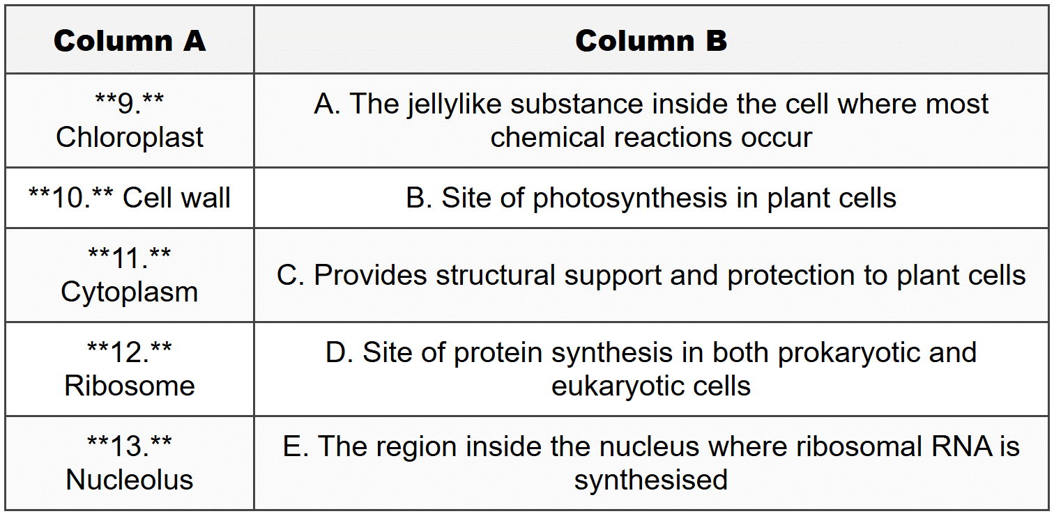 Cells: the Basic Units of Life
