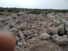 Rajasthan: Flora, Fauna, and Minerals | RPSC Preparation: All subjects - RPSC RAS (Rajasthan)