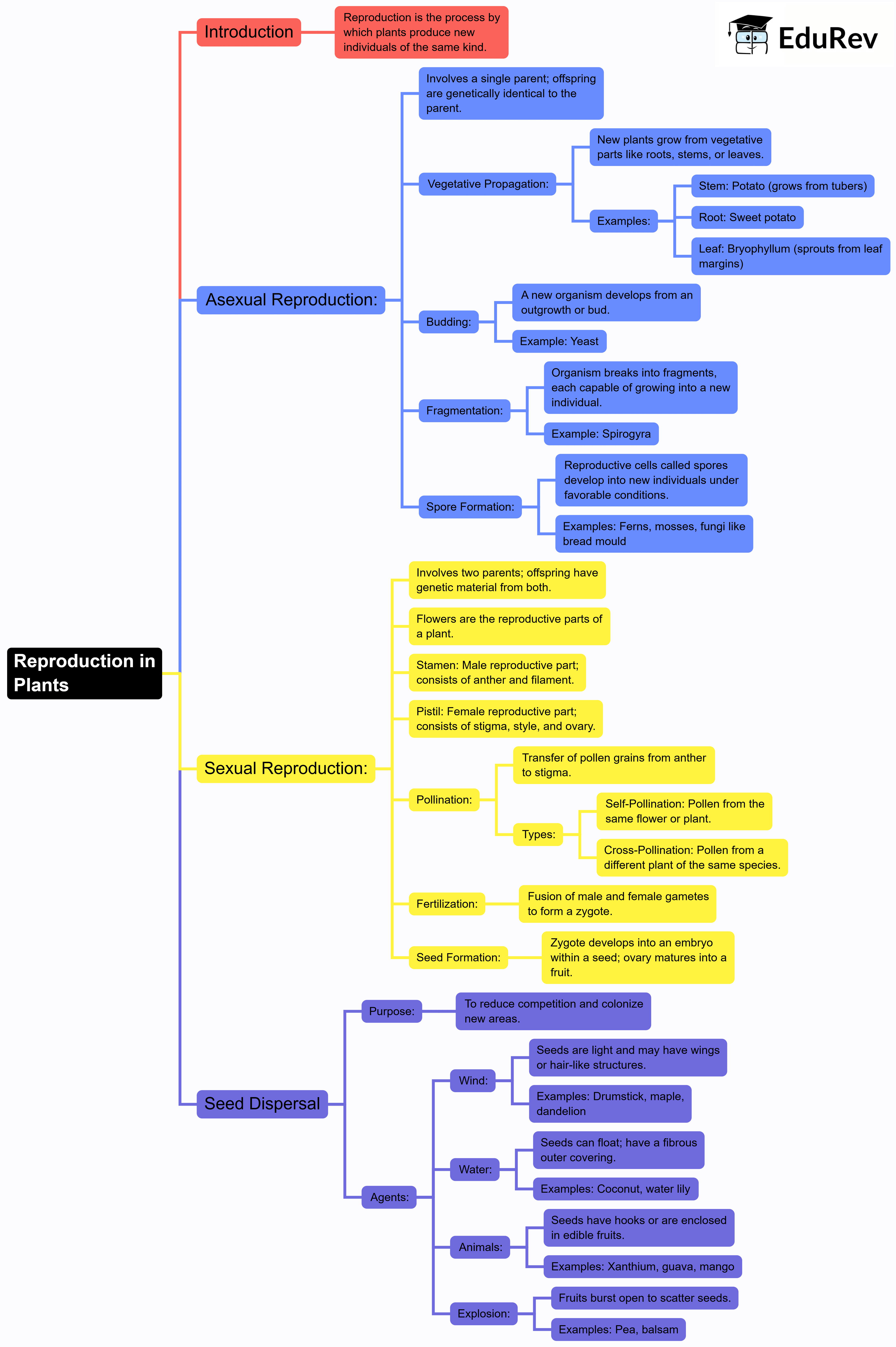 Mindmap: Reproduction in Plants | Science Class 7 (Old NCERT)