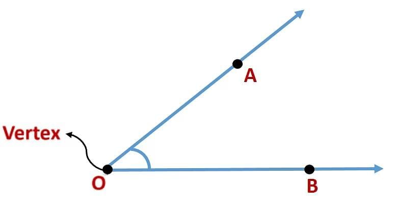 Basic Concepts in Geometry Chapter Notes | Mathematics Class 6 (SSC Board)