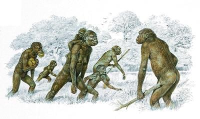 Human-like creatures