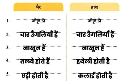 आपका पैर