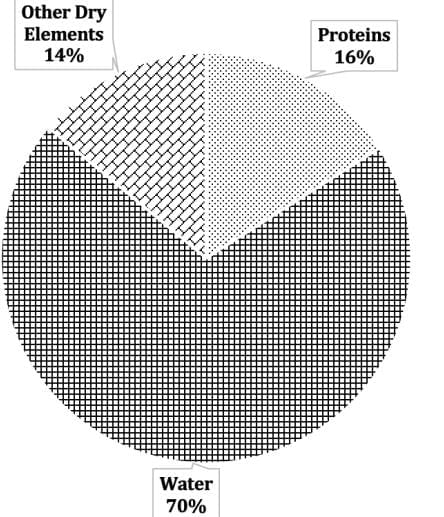 Previous Year Topic Wise Questions With Solutions: Percentages | CSAT Preparation - UPSC
