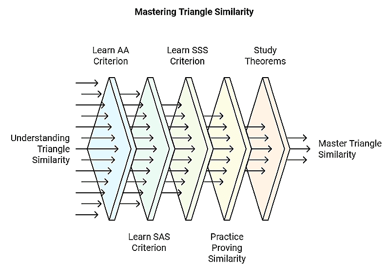 4 Days Timetable: Triangles | Mathematics (Maths) Class 10