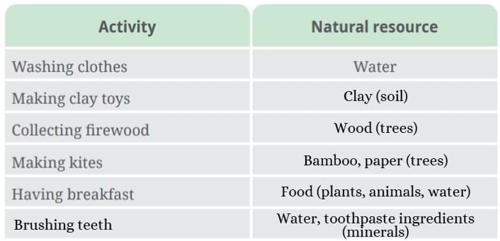 NCERT Based Activity: Nature`s Treasures | Science for Class 6