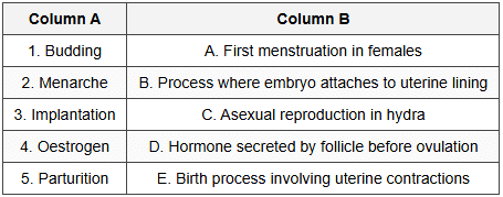 The Reproductive System Worksheet - Class 10 Biology ICSE PDF Download