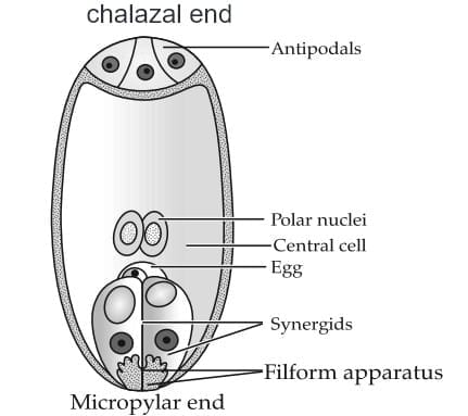 Long Answer Type Questions (5 Marks)