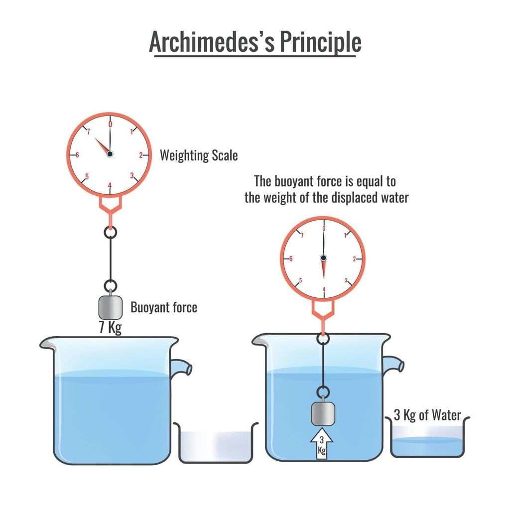 Exploring Forces Chapter Notes | Chapter Notes For Class 8