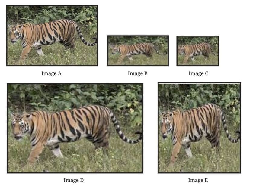 Points to Remember: Proportional Reasoning-1 | Mathematics Class 8- New NCERT (Ganita Prakash)