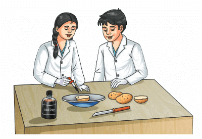 1. Test for Starch