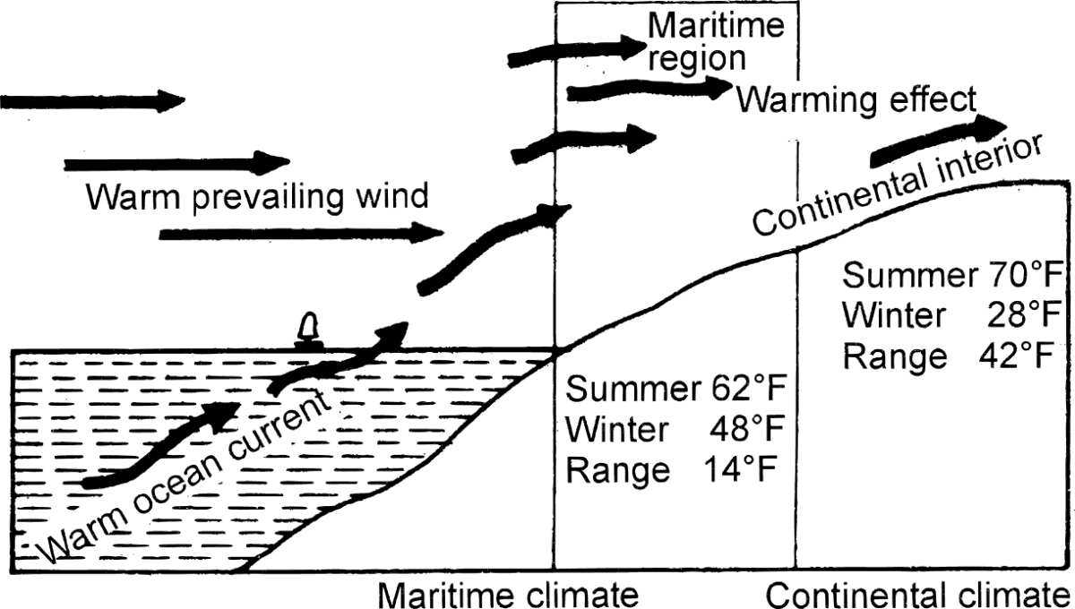 Answer the following questions briefly