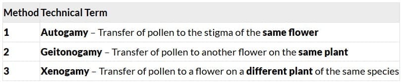 Long Answer Type Questions (5 Marks)