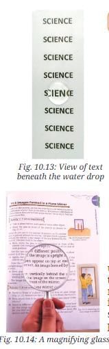 NCERT Based Activity: Light: Mirrors and Lenses | Science Curiosity Class 8 -  New NCERT