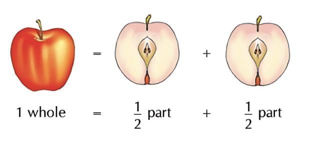 Fractions Chapter Notes | Mathematics (Maths Mela) Class 5 - New NCERT