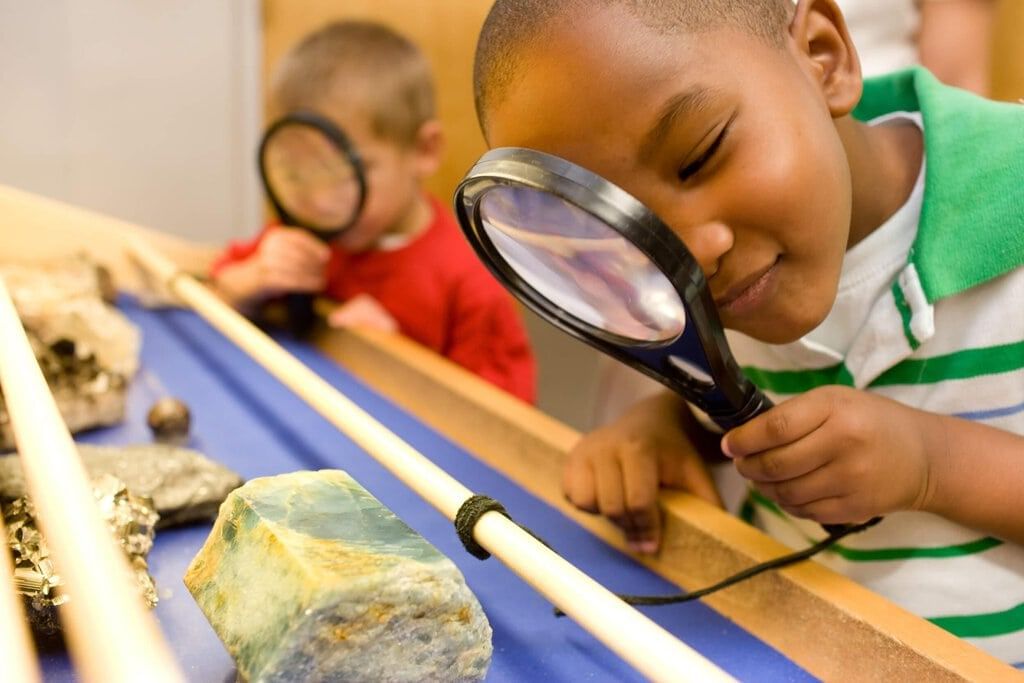 Short & Long Question Answers: The Wonderful World of Science | Short & Long Answer Questions for Class 6