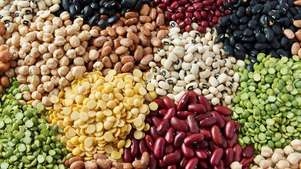 Very Short Question Answers: Mindful Eating: A Path to a Healthy Body | Science Class 6