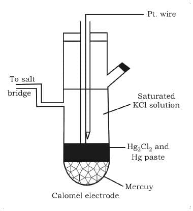 Types of Electrodes