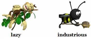 answer Image