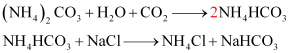 NCERT Solutions Class 11 Chemistry - The s-Block Elements