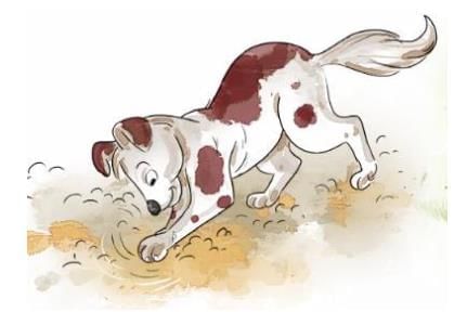 i) बहुविकल्पीय प्रश्न