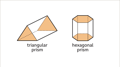 Properties of 3D Shapes - Year 7