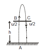 Kinematics, Chapter Notes, Class 11, Physics (IIT-JEE & AIPMT)